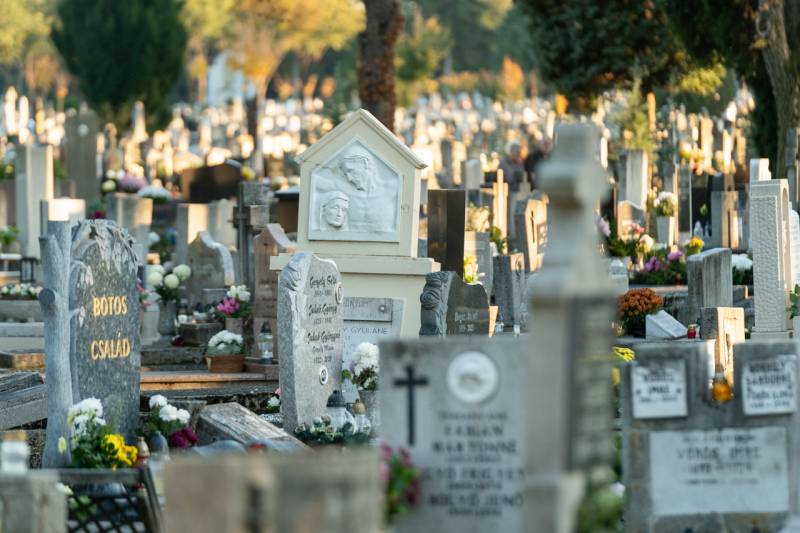 2025_11_01_szent mihaly_13.jpg